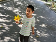 -暨阳湖生态园