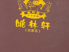 -姚林轩