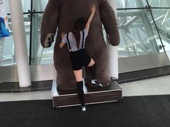 -济州岛泰迪熊博物馆