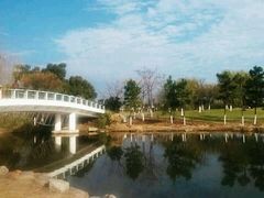 -九里河湿地公园