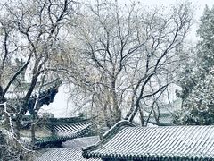 -白塔山公园