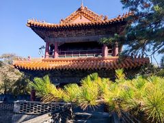 -沈阳市东陵公园