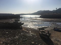 -青岛沙子口国家中心渔港