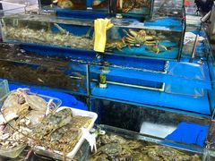 水产区-王四营海鲜市场