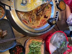 -辣伍鲜毛肚老火锅(元一店)