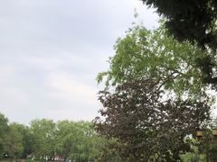 -北陵公园