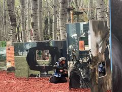 -朝阳公园游乐园