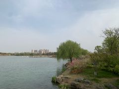 -澹台湖公园