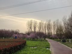 -玉雕湾国际玉城-石佛寺