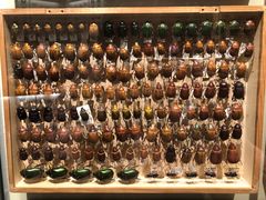 -墨尔本博物馆(Melbourne Museum)