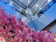 -金铂广场(龙归店)