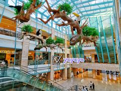 -大族广场Mall&More