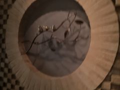 -Dragonfly悠庭·按摩Spa(静安嘉里中心店)