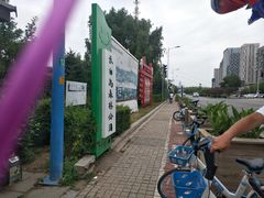 -长白岛森林公园