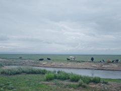 -青海湖国家重点风景名胜区