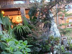 -小锅巴纳西餐厅