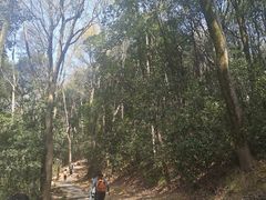 -西湖风景区十里琅珰-五云山