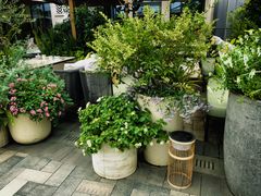 -比斯特上海购物村精品奥特莱斯