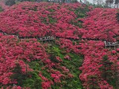 -木兰云雾山