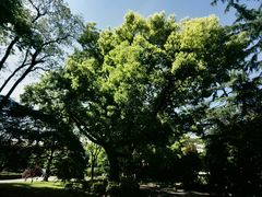-棕榈岛海鲜自助餐厅(虹桥迎宾馆店)