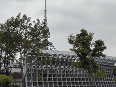 -文华公园(禅城区)