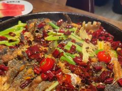 -老板恋上鱼(高新万达店)