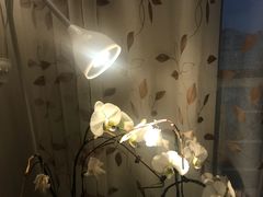 -惟初心理咨询工作室(静安分店)