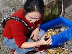 -濠轩阁特色生蚝火锅总店