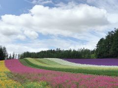 -富田农场