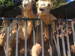 -泉州海丝野生动物世界