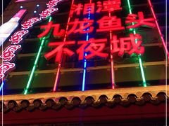 -湘潭九龙鱼头店(城南西路店)