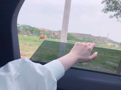 -丹江大观苑
