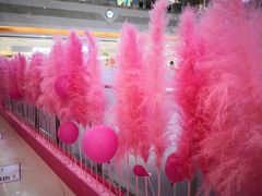 -巴黎春天(浦建店)