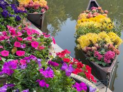 -东南花都花博园