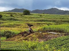 -青峰峡国家森林公园