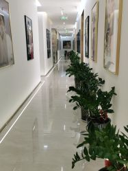 点击看大图 -维纳斯婚纱摄影(友好北路店)