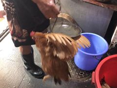 -生态苑农庄(十里画廊遇龙河店)