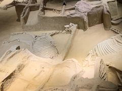 -洛阳周王城天子驾六博物馆