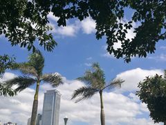 景点-白鹭洲公园