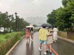 -小麦岛公园