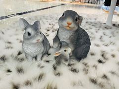-肃宁华斯国际裘皮城