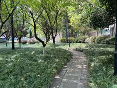 -温江公园