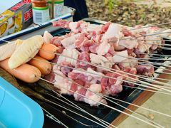 几几带的烧烤-鸿华度假酒店