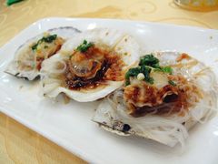 扇贝-海岛渔村大酒店(云霄路店)
