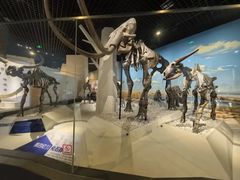 -国家自然博物馆