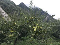 -孟屯河谷景区