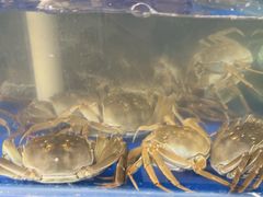 -阳澄湖大闸蟹·琼灵阁牌品牌连锁(吴中总店)