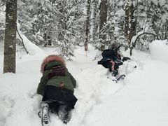 -亚布力新体委滑雪场