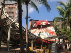 -亚马逊丛林水乐园