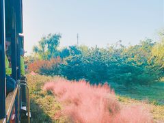 -永定河休闲森林公园